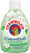 Carica l'immagine nel visualizzatore di Gallery, Chanteclair Liquido Profuma Biancheria I Concentrati, Muschio Bianco, 220 ml
