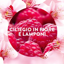 Carica l'immagine nel visualizzatore di Gallery, Air Wick Ricarica per Diffusore di Oli Essenziali Armonia Istantanea, 3 Ricariche, Fragranza Ciliegio in Fiore e Lamponi