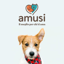 Carica l'immagine nel visualizzatore di Gallery, amusi Balsamo Cani Pelo Lungo Spray Sciogli Nodi Pelo Cane 250ml - Made in Italy, Formula Ipollergenica, Lucida, Condiziona, Nutre, Effetto Antistatico, Balsamo per Cani Spray, Districante Pelo Cane