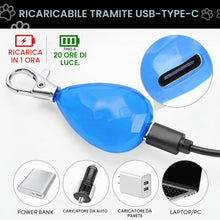 Carica l'immagine nel visualizzatore di Gallery, 2 luci LED impermeabili per cani con USB ricaricabile per passeggiare di notte, attaccate al collare, al guinzaglio o al