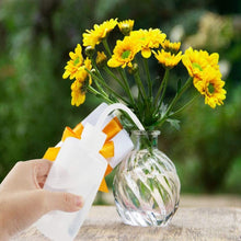 Carica l'immagine nel visualizzatore di Gallery, LATRAT Set di 3 annaffiatoi in plastica, bottiglie di sicurezza per la pulizia delle bottiglie trasparenti per il giardi