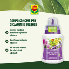 Carica l'immagine nel visualizzatore di Gallery, COMPO Concime per Ciclamini e Bulbose, Ad Alto Tenore di Potassio e Fosforo, 250 ml