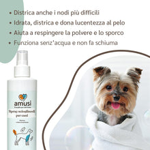 Carica l'immagine nel visualizzatore di Gallery, amusi Balsamo Cani Pelo Lungo Spray Sciogli Nodi Pelo Cane 250ml - Made in Italy, Formula Ipollergenica, Lucida, Condiziona, Nutre, Effetto Antistatico, Balsamo per Cani Spray, Districante Pelo Cane