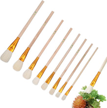 Carica l'immagine nel visualizzatore di Gallery, PartyKindom 8 pennelli per impollinazione manuale per piante grasse e alberi da frutto, strumento portatile per impollinazione delle api per la cura del giardino e delle piante