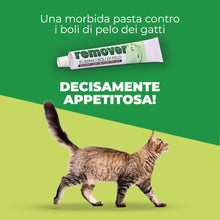 Carica l'immagine nel visualizzatore di Gallery, Remover Gatto - Mangime Complementare Per Gatti 20gr