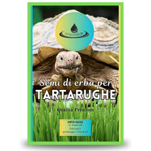Carica l'immagine nel visualizzatore di Gallery, Semi di Erba per Tartarughe di Terra, Mix di Tarassaco, Cicoria, Scarola e Lattuga per Nutrizione Ottimale, MADE IN ITAL