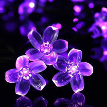 Carica l'immagine nel visualizzatore di Gallery, KINGCOO Catena Luminosa Stringa Luci Fiore Solare Esterna,Impermeabile 21ft 50LED Fiore di Pesca Ciliegio Luci di String