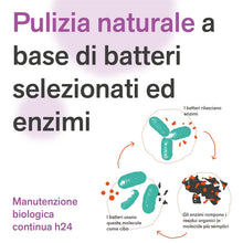 Carica l'immagine nel visualizzatore di Gallery, BactPro - BactDrain - Pulizia e manutenzione di sifoni e tubature - Elimina cattivi odori e intasamenti dall’impianto di