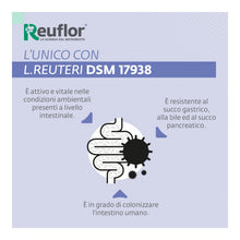Carica l'immagine nel visualizzatore di Gallery, Reuflor Immuno D3 Gocce Fermenti Lattici Vivi Vitamina D3 Per Bambini, 5 ml