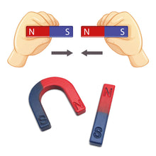 Carica l'immagine nel visualizzatore di Gallery, Set 2 Magneti Didattici – Calamita a Ferro di Cavallo e Lineare – N/S Rosso Blu – Esperimenti Scientifici, Scuola, Stude
