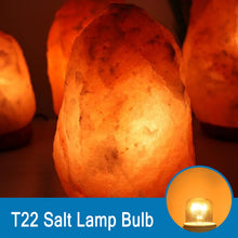 Carica l'immagine nel visualizzatore di Gallery, SCNNC Lampadina forno E14 T22 Bianca Calda 2300K Dimmerabile, 3 Pezzi