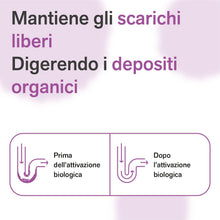 Carica l'immagine nel visualizzatore di Gallery, BactPro - BactDrain - Pulizia e manutenzione di sifoni e tubature - Elimina cattivi odori e intasamenti dall’impianto di