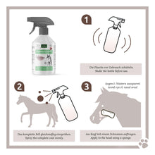 Carica l'immagine nel visualizzatore di Gallery, AniForte Horsefly-Ex Spray per Cavalli 1L - Spray tafano Efficace e duraturo Contro i tafani, Protezione immediata Contro zanzare, Mosche, parassiti, bloccante per tafani in Pratico flacone Spray