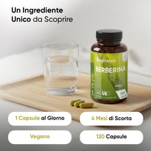 Carica l'immagine nel visualizzatore di Gallery, Berberina Vegana, 4 Mesi di Scorta, 1 Capsula al Giorno, Integratore Berberina 500 mg Pura 85%, 120 Capsule, Berberine Proveniente dalla Berberis Aristata, Senza Magnesio Stearato, Prodotto in Europa