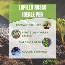 Carica l'immagine nel visualizzatore di Gallery, GEOSISM &amp; NATURE - Lapillo vulcanico rosso, 100% naturale, per giardinaggio, drenaggio, pacciamatura, vasi e terrari (5/