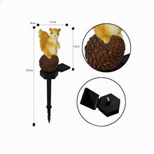 Carica l'immagine nel visualizzatore di Gallery, Energia solare Pinecone scoiattolo luce, decorazione giardino resina carino animale lampada di terra, tramonto senza fil