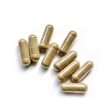 Carica l'immagine nel visualizzatore di Gallery, Cardo Mariano BIO | Extra Forte 1350mg / giorno, integratore con Silimarina | 120 capsule da 450mg | Disintossicazione d