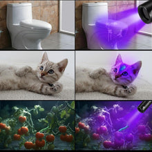 Carica l'immagine nel visualizzatore di Gallery, Alonefire SV110 Torcia UV LED Piccolo Professionale 365nm USB C Ricaricabile Mini Lampada Ultravioletti per Resina, Pesc