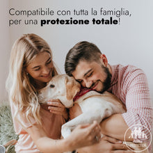 Carica l'immagine nel visualizzatore di Gallery, ZIG - ZAG Insetticida Spray Antipulci per ambienti, efficace contro pulci, zecche, mosche, zanzare e formiche, applicabi