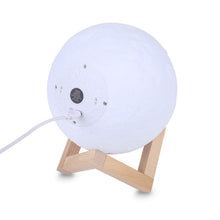 Carica l'immagine nel visualizzatore di Gallery, Lampada Luna 3D Stampata, ALED LIGHT Piena Lampada Moon Luna con Diametro 15cm, 3 Colori, Ricarica USB Decorativo LED Lu