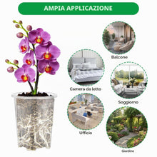 Carica l'immagine nel visualizzatore di Gallery, AOOWU 6 Pezzi Vaso per Orchidee Trasparenti, 12 CM Vaso Trasparenti per Piantine con Foro di Drenaggio, Plastica Kit di 