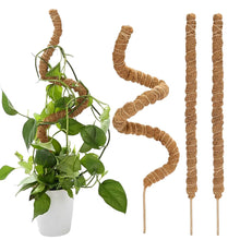 Carica l'immagine nel visualizzatore di Gallery, 3 Pezzi Sostegno per Piante Rampicanti,Supporti Piante,Sostegno Rampicanti Casa Giardino Balcone