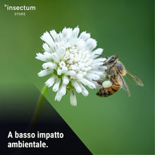 Carica l'immagine nel visualizzatore di Gallery, Insectum 2 Insetticida cimici da letto AMP 2 CL - Spray cimici da letto Flacone 500 ml - Insetticida per cimici da letto