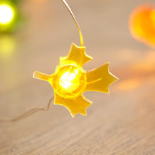 Carica l'immagine nel visualizzatore di Gallery, Lights4fun Catena Luminosa di Foglie Autunnali Zucca Ghianda con 30 Micro LED Bianchi Caldi a Pile con Timer Decorazione