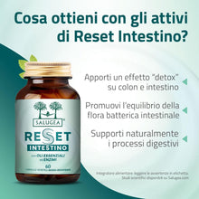 Carica l'immagine nel visualizzatore di Gallery, Reset Intestino Salugea - Integratore Detox Naturale 60 Capsule