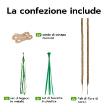 Carica l'immagine nel visualizzatore di Gallery, Wigearss 2 Pezzi Bastone di Muschio, Palo Cocco Piante Sostegno Piante Supporti, Pieghevoli Fibra di Cocco, Tutore Musch