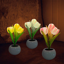 Carica l'immagine nel visualizzatore di Gallery, Tulipano Luce notturna con vaso in ceramica Simulazione Tulipano Led Luci, Lampada da tavolo artificiale del fiore per l