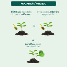 Carica l'immagine nel visualizzatore di Gallery, Il Paese Verde Concime Growing 100mq, 4kg