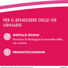 Carica l'immagine nel visualizzatore di Gallery, Cistiflux Plus, Integratore a Base di Estratto di Mirtillo Rosso,Cranberry Americano, e D-Mannosio,per Favorire Una Corretta Funzionalità delle Vie Urinarie, 14 Bustine, Gusto Frutti di Bosco