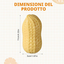 Carica l'immagine nel visualizzatore di Gallery, 1pcs Squishy Arachide Croccante ASMR, Crunchy Peanut Squishy, Giocattolo Antistress a Lento Ritorno