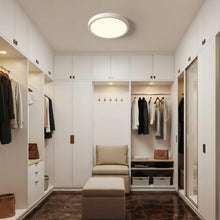 Carica l'immagine nel visualizzatore di Gallery, FUPE 3 Temperature Plafoniera LED Soffitto 32W Lampada da Soffitto, 3000K/4000K/6500K Ø40cm 3200lm con Gancio di Sicurez