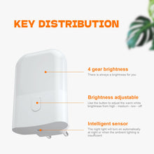 Carica l&#39;immagine nel visualizzatore di Gallery, GRIFEMA GD101-1 Luce Notturna per Bambini 3 Livelli di Luminosità Regolabili, Luce Notturna con Sensore di Luce per Cameretta, Bagno, Corridoio, Cucina, Scale, 2700K Bianco Caldo