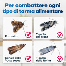 Carica l'immagine nel visualizzatore di Gallery, Gerobug Trappole Tarme Alimentari e Farfalline - Maxi Confezione 10 Pezzi