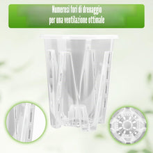 Carica l'immagine nel visualizzatore di Gallery, Set da 3 Vasi per Orchidee in Plastica con Sottovasi, 1.3L/Ø14cm Vaso