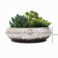 Carica l'immagine nel visualizzatore di Gallery, VanEnjoy, Vaso rotondo in ceramica smaltata per piante grasse, 18,5 cm, con foro di drenaggio, vaso per bonsai, decorazi