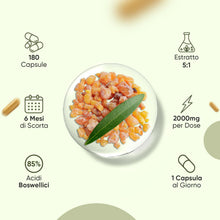 Carica l'immagine nel visualizzatore di Gallery, Boswellia Serrata WeightWorld, 180 Capsule Vegane (per 6 Mesi) da 2000mg