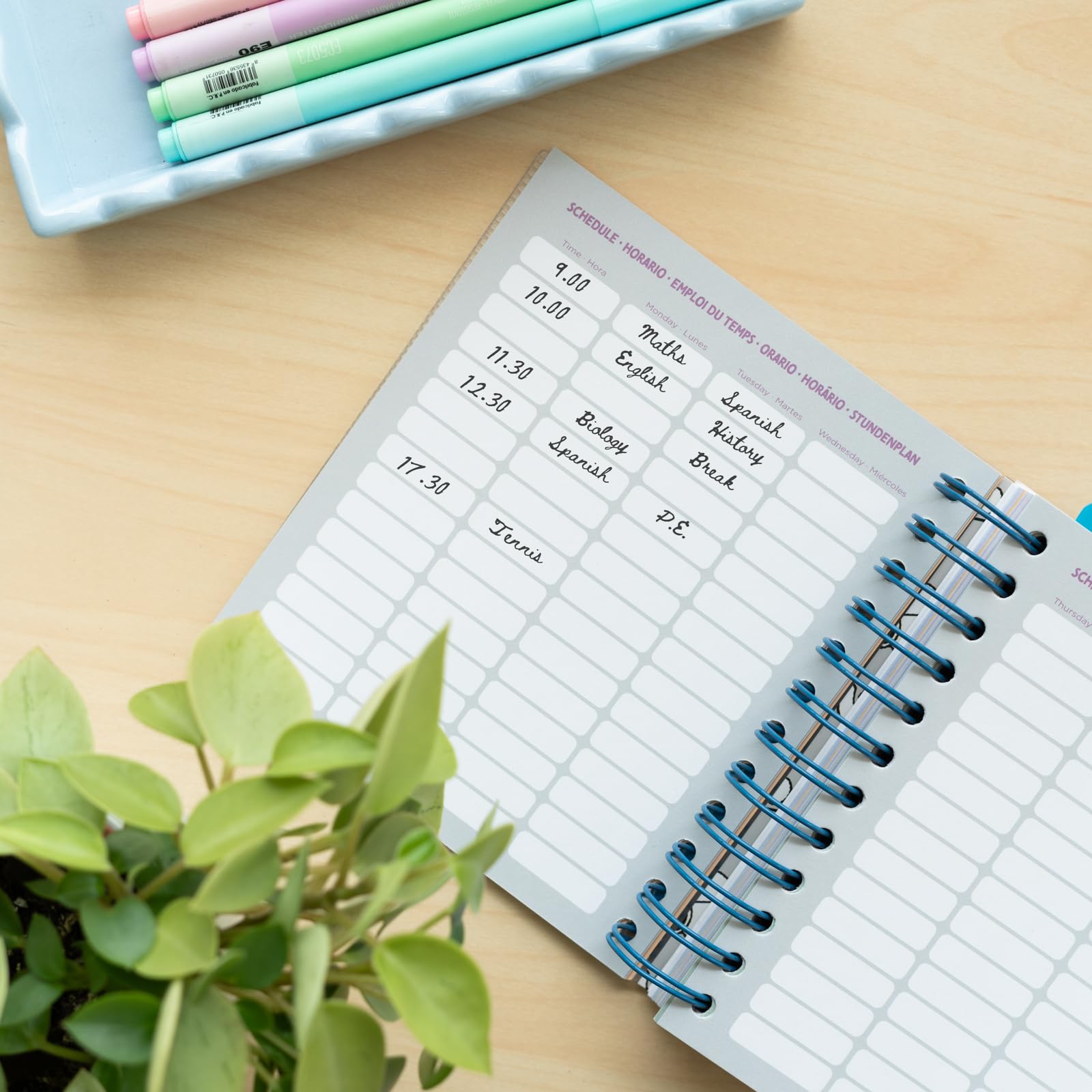 Trees 1 Pezzo Pianificatore Dal Luglio 2024 Al Giugno 2026, Diario Settimanale E Mensile - Foto 6