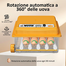 Carica l'immagine nel visualizzatore di Gallery, Incubatrice per Uova con Controllo della Temperatura e Rotazione Automatica per 16 uova, Incubatrice per Uova Automatica con rulli regolabili e aggiunta automatica di acqua
