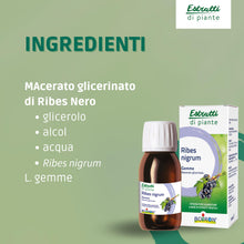 Carica l'immagine nel visualizzatore di Gallery, Estratti di Piante Ribes Nigrum - Macerato Glicerinato di Ribes Nero 60 ml