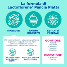 Carica l'immagine nel visualizzatore di Gallery, Lactoflorene Pancia Piatta, Fermenti Lattici, Probiotici, Senza Glutine Senza Lattosio Integratore con Probiotici, Enzimi ed Estratti vegetali (Finocchio) per il Gonfiore addominale (20 Bustine)
