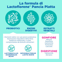 Carica l'immagine nel visualizzatore di Gallery, Montefarmaco Otc Lactoflorene Pancia Piatta 10 Bustine