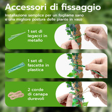 Carica l'immagine nel visualizzatore di Gallery, Wigearss 2 Pezzi Bastone di Muschio, Palo Cocco Piante Sostegno Piante Supporti, Pieghevoli Fibra di Cocco, Tutore Musch
