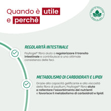 Carica l'immagine nel visualizzatore di Gallery, Psyllogel Fibra Arance Rosse - Integratore di Fibre - Confezione 20 Bustine