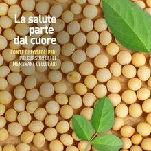 Carica l'immagine nel visualizzatore di Gallery, LongLife® Lecitina Di Soia | Fosfolipidi da soia NON OGM | Fonte vegetale di fosfatidilcolina | Precursore acetilcolina 