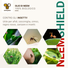 Carica l'immagine nel visualizzatore di Gallery, Olio di Neem per Piante - 500ml Pronto all’Uso - 100% Biologico, Formula Potenziata - Repellente Naturale contro Cimici, Afidi, Cocciniglia, Ragnetto Rosso, Zanzare, Insetti