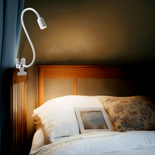 Carica l'immagine nel visualizzatore di Gallery, da LIGHT Lampada da lettura a morsetto, lampada da scrivania a LED, morsetto con 3 temperature di colore, dimmerabile, l